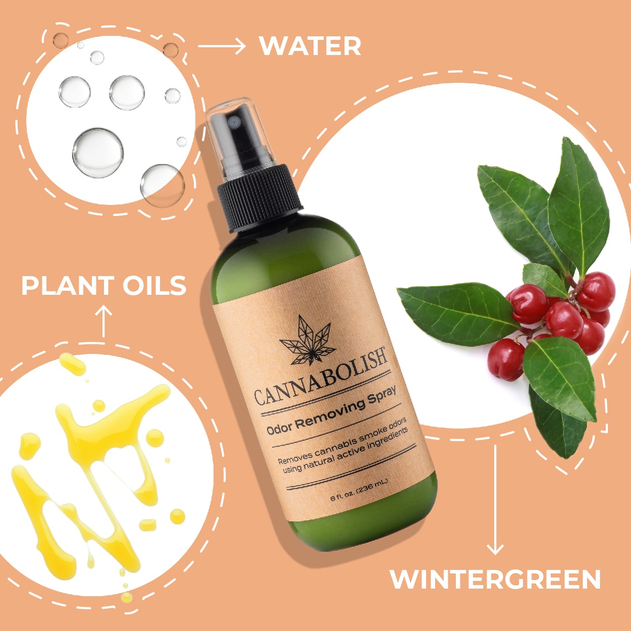 CANNABOLISH 236ml - Image 3