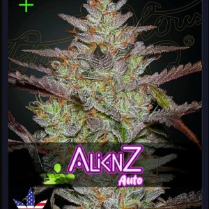Alienz Auto Green House Seeds αυτόματοι σπόροι κάνναβης freshseeds