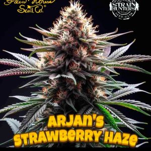 Arjan's Strawberry Haze