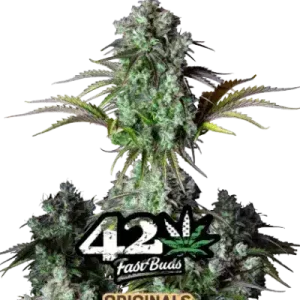 BIG BUD AUTO ORIGINALS FASTBUDS