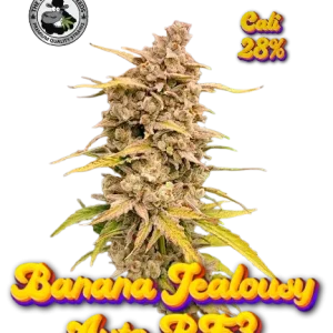 Banana Jealousy Auto