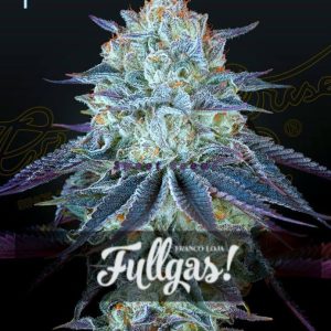 FULLGAS GREENHOUSE SEEDS