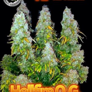 HELLFIRE OG AUTO BLACK SHEEP