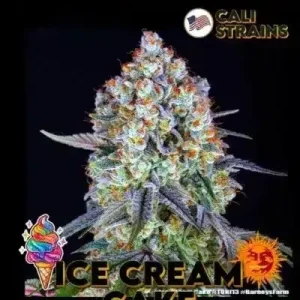 ICE CREAM CAKE BARNEY'S FARM