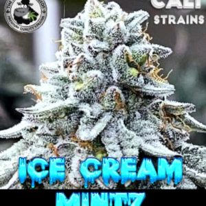 ICE CREAM MINTZ BLACK SHEEP