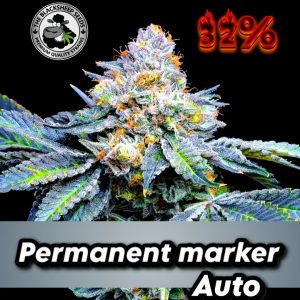 Permanent Marker Auto