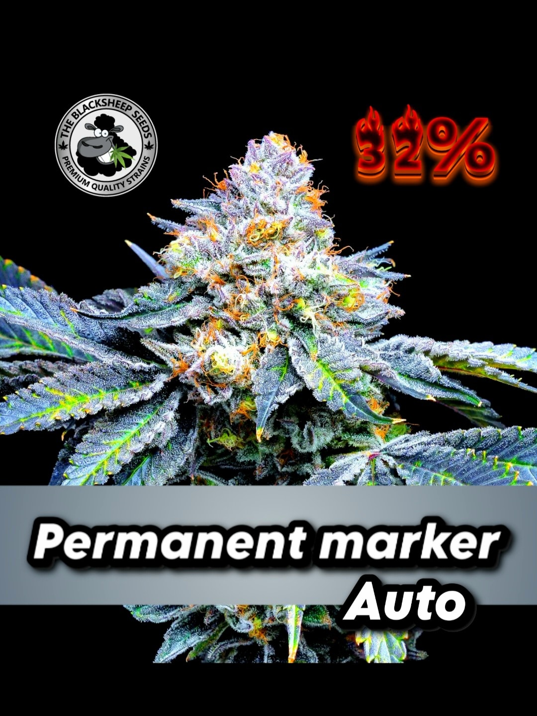 Permanent Marker Auto