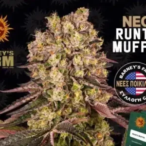 RUNTZ MUFFIN BARNEY'S FARM