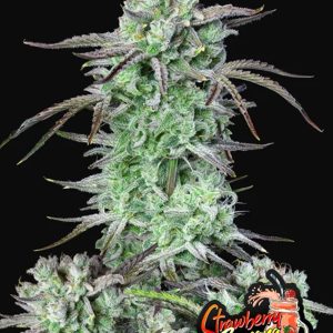 STRAWBERRY BANANA AUTO FASTBUDS