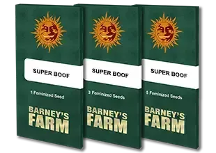 SUPER BOOF Barney's Farm - Image 3