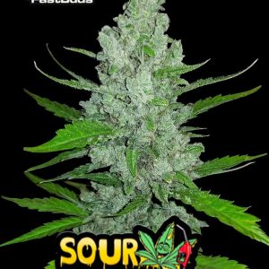 Sour Diesel Auto FAST BUDS