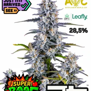 Σπόροι κάνναβης Super Boof Auto από την FastBuds στο FreshSeeds