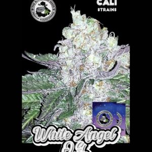 WHITE ANGEL OG BLACK SHEEP