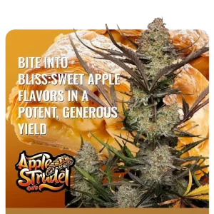 Apple Strudel FastBuds – αρωματικοί σπόροι κάνναβης με γλυκό φρουτώδες προφίλ