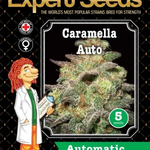 Caramela Auto Expert Seeds – autoflower σπόροι κάνναβης για εύκολη καλλιέργεια