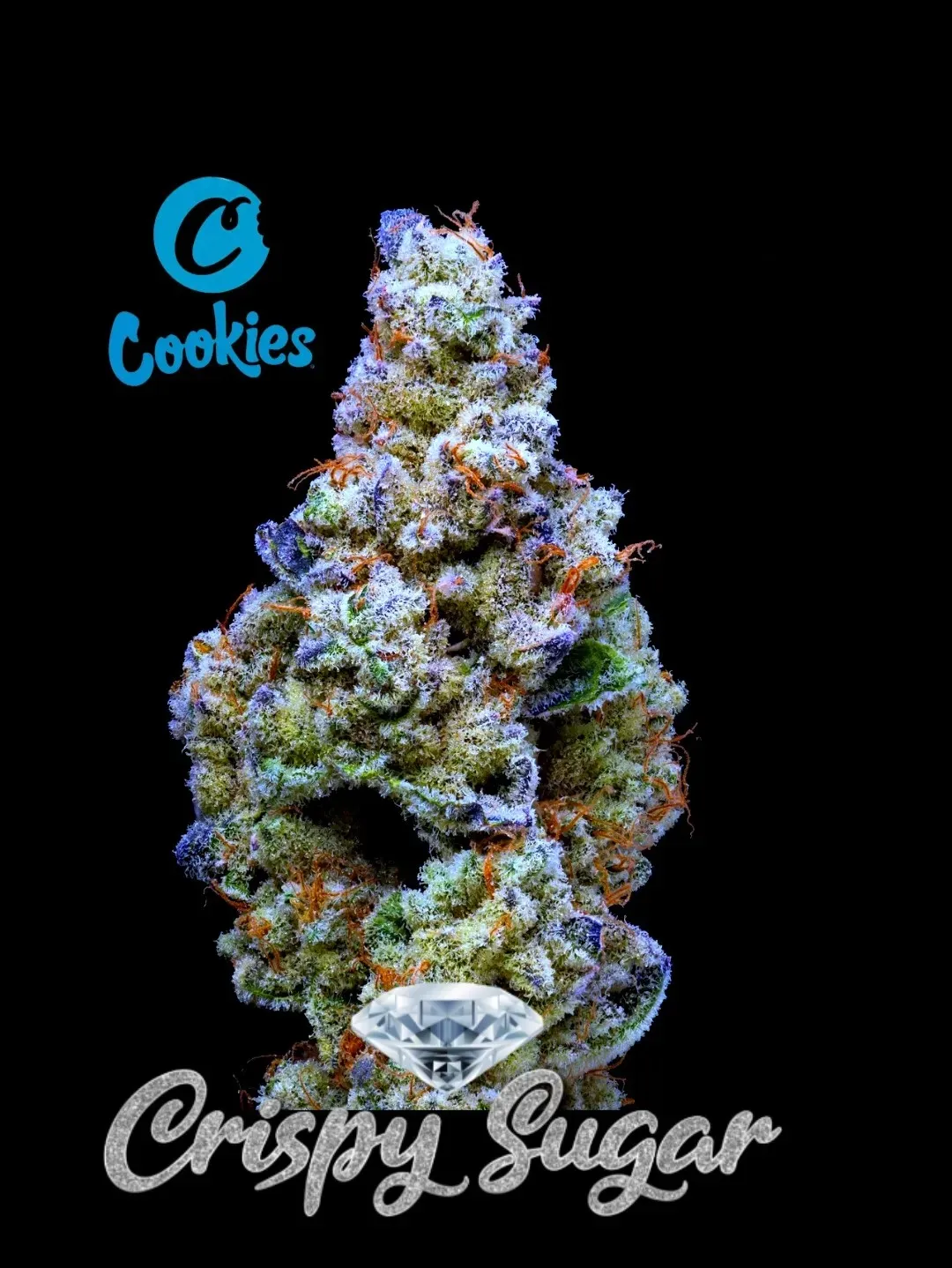 Crispy Sugar Anesia Seeds θηλυκοποιημένοι σπόροι κάνναβης freshseeds