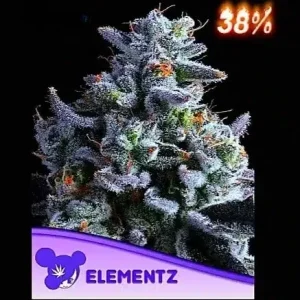 Elementz Anesia Seeds θηλυκοποιημένοι σπόροι κάνναβης freshseeds