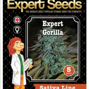 Expert Gorilla Expert Seeds θηλυκοποιημένοι σπόροι κάνναβης freshseeds