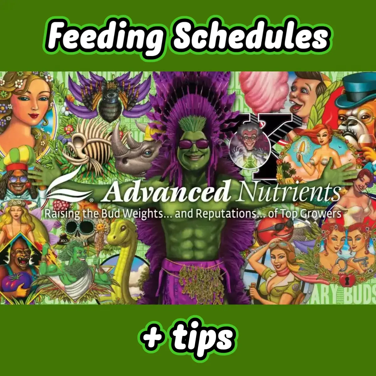 feeding schedules for organic and synthtic nutrients &tips