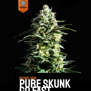 Pure Skunk Go Fast Seeds σπόροι κάνναβης freshseeds