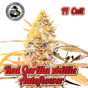 Red Gorilla Zkittle Auto