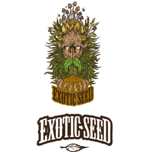 Exotic Seeds – Ποιοτικοί σπόροι κάνναβης από τη Μαδρίτη