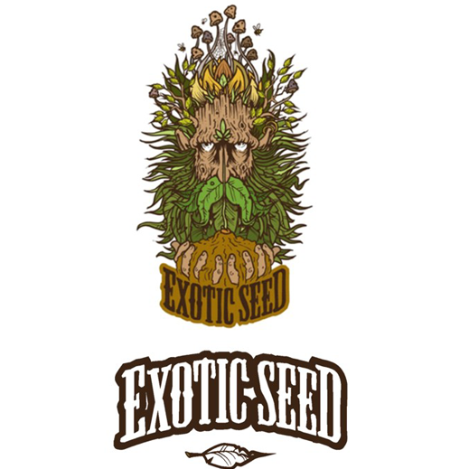Exotic Seeds