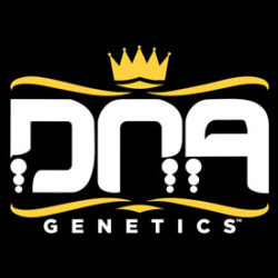 DNA Genetics