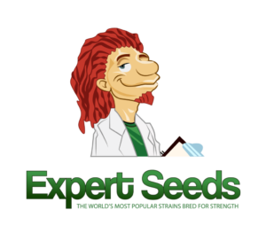 Expert Seeds – Feminized και Autoflower σπόροι κάνναβης υψηλού THC