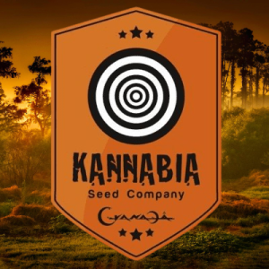 Kannabia Seeds – Ποιοτικοί σπόροι κάνναβης από την Ισπανία