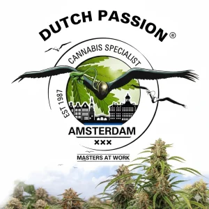 Dutch Passion – Θηλυκοί και αυτόματης άνθησης σπόροι κάνναβης