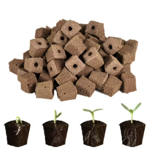 Κύβοι Ριζοβολίας Σπόρων